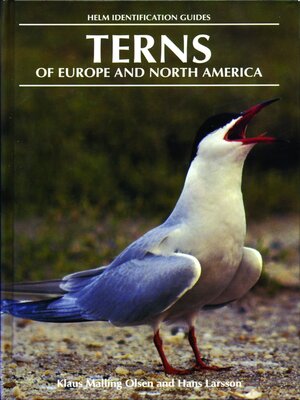 cover image of Terns of Europe and North America
